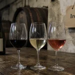 Vin pays basque en cave : Irouléguy, Txakoli et vinification océanique