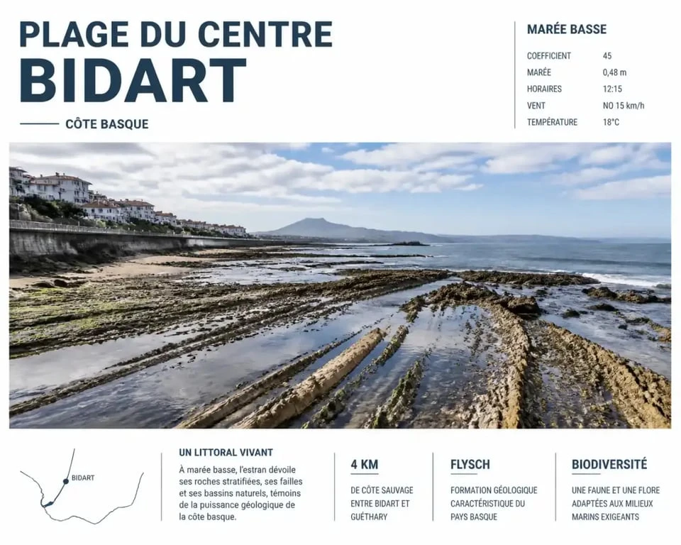 Plage du Centre à Bidart à marée basse pour observer les marées